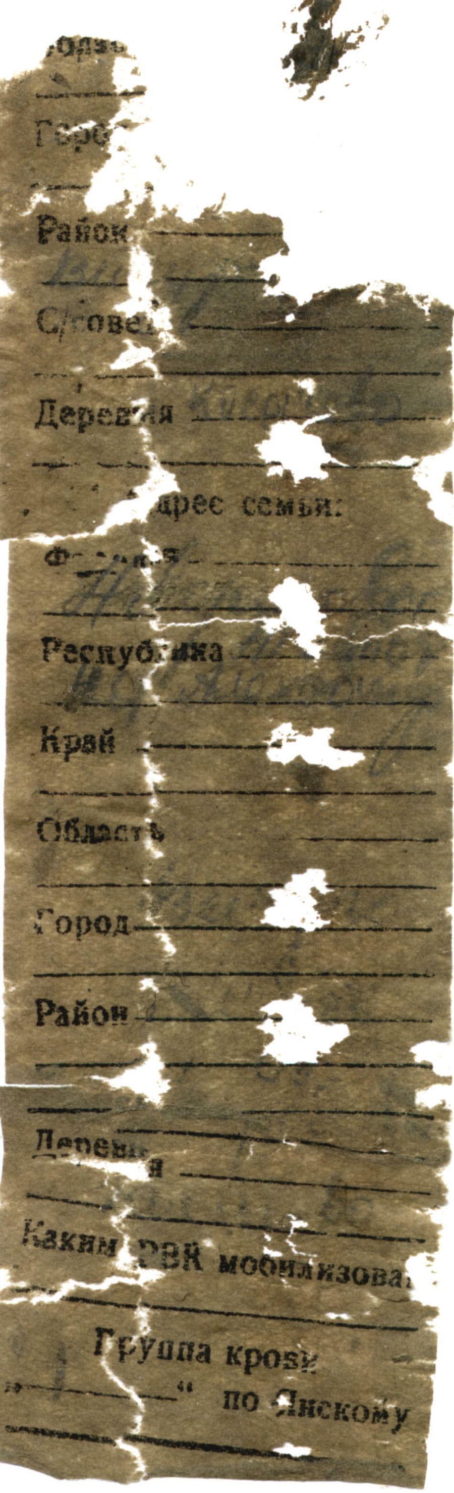 Вкладыш найденного медальона Вкладыш найденного медальона