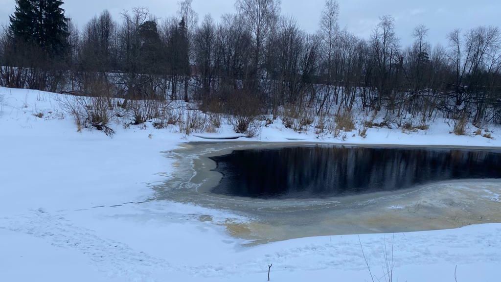 В Тверской области в реке Западная Двина найдено тело пропавшей девочки - РИА Новости, 1920, 19.03.2021