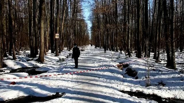 Работа криминалистов на месте обнаружения тела новорожденного ребенка в Брянске Работа криминалистов на месте обнаружения тела новорожденного ребенка в Брянске - РИА Новости, 1920, 24.03.2021