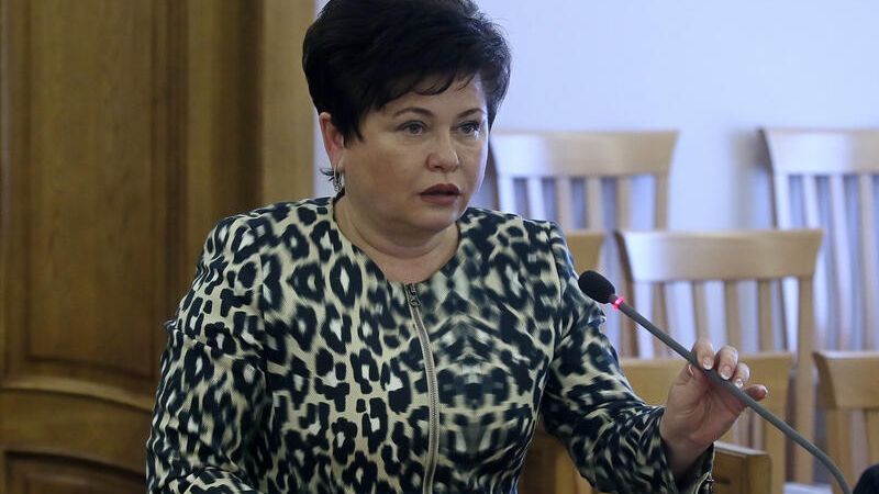 Представитель губернатора и правительства в законодательном собрании Алтайского края Стелла Штань Представитель губернатора и правительства в законодательном собрании Алтайского края Стелла Штань - РИА Новости, 1920, 01.04.2021