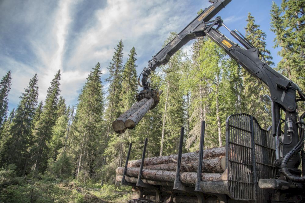 Производственно-лесозаготовительное объединение Онегалес в составе Segezha Group Производственно-лесозаготовительное объединение Онегалес в составе Segezha Group - РИА Новости, 1920, 05.04.2021