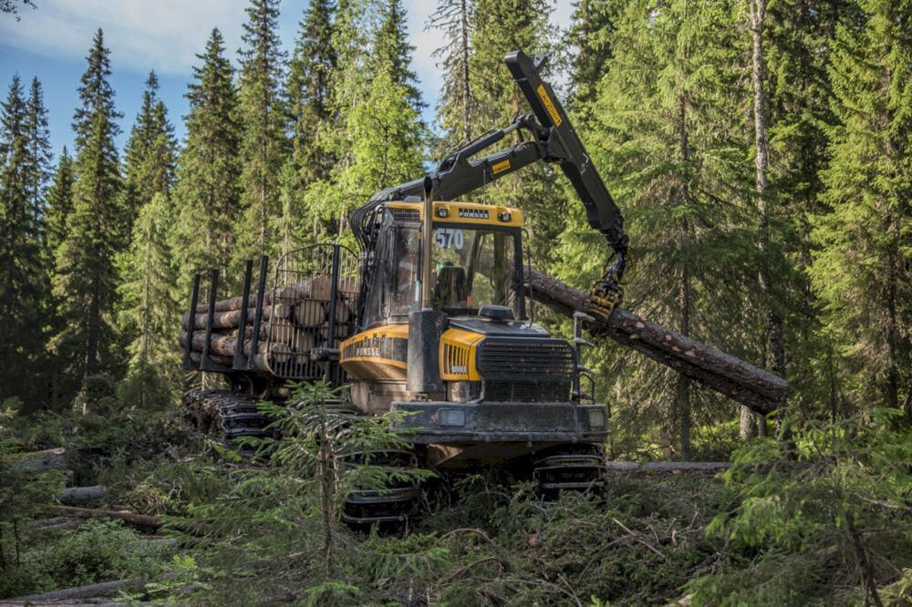 Производственно-лесозаготовительное объединение Онегалес в составе Segezha Group Производственно-лесозаготовительное объединение Онегалес в составе Segezha Group - РИА Новости, 1920, 05.04.2021
