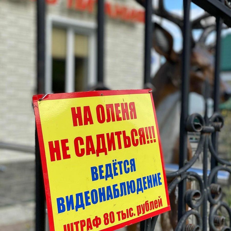 Алтай Алтай