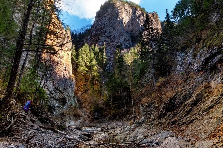 Приморский край, ущелье реки Амгу Приморский край, ущелье реки Амгу
