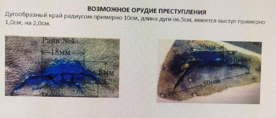 Сравнительный анализ ран Антоновой и Максимовой Сравнительный анализ ран Антоновой и Максимовой