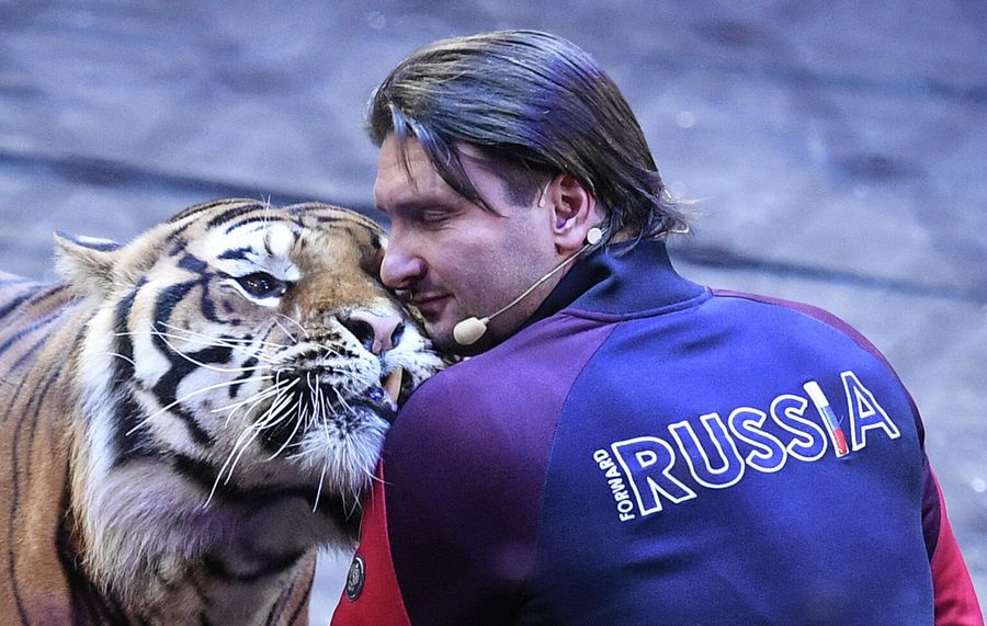 Генеральный директор Большого Московского государственного цирка на проспекте Вернадского Эдгард Запашный с тигром во время репетиции в Большом Московском государственном цирке на проспекте Вернадского