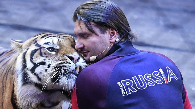 Генеральный директор Большого Московского государственного цирка на проспекте Вернадского Эдгард Запашный с тигром во время репетиции в Большом Московском государственном цирке на проспекте Вернадского Генеральный директор Большого Московского государственного цирка на проспекте Вернадского Эдгард Запашный с тигром во время репетиции в Большом Московском государственном цирке на проспекте Вернадского