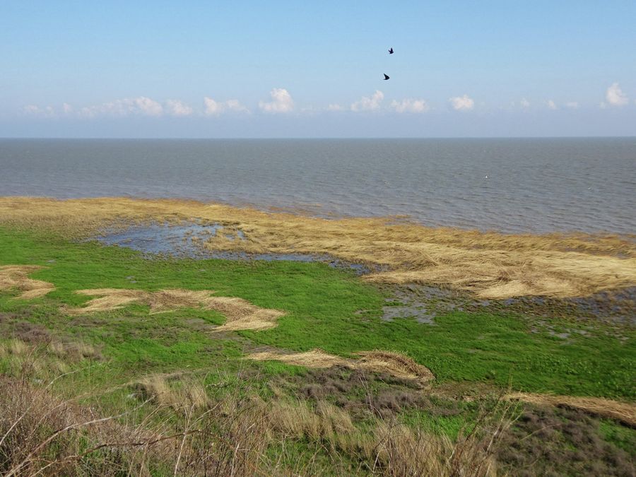 Азовское море Азовское море