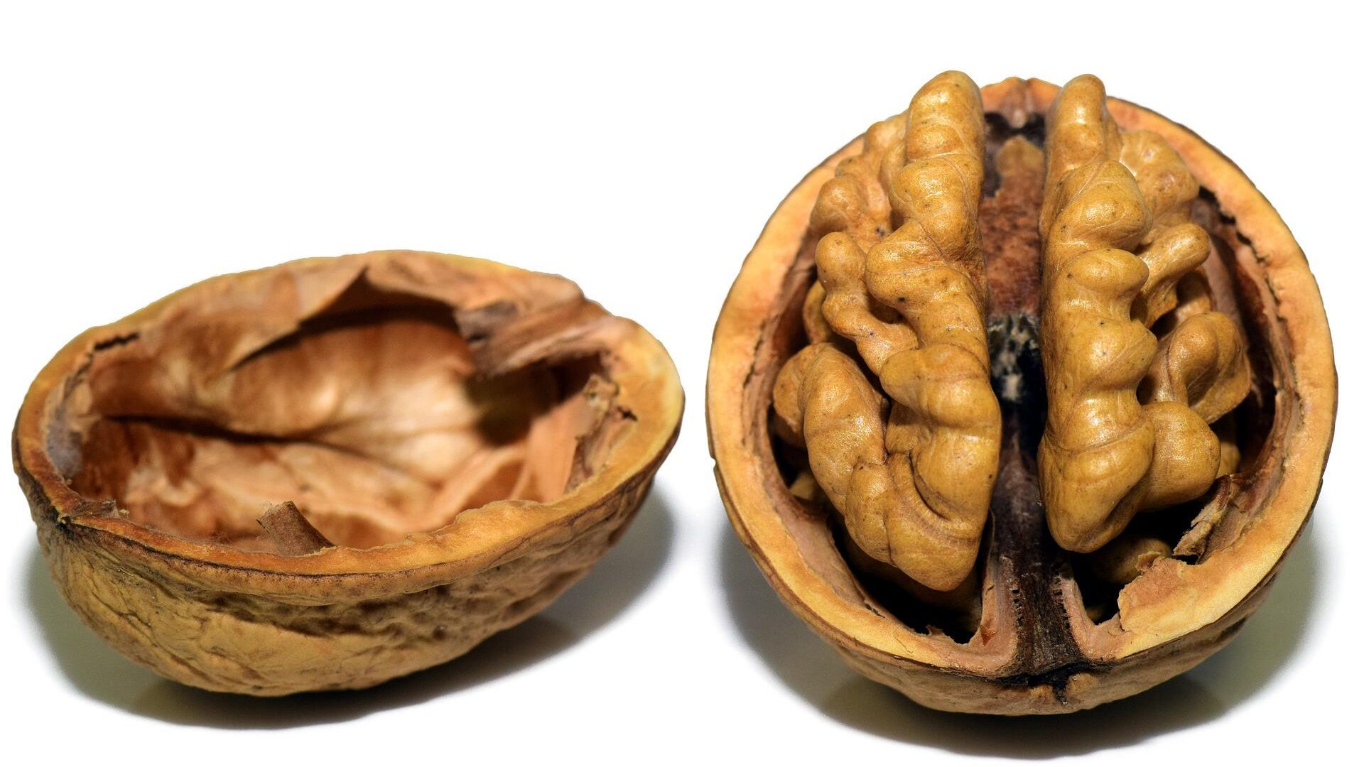 Грецкий орех Грецкий орех - РИА Новости, 1920, 08.07.2021