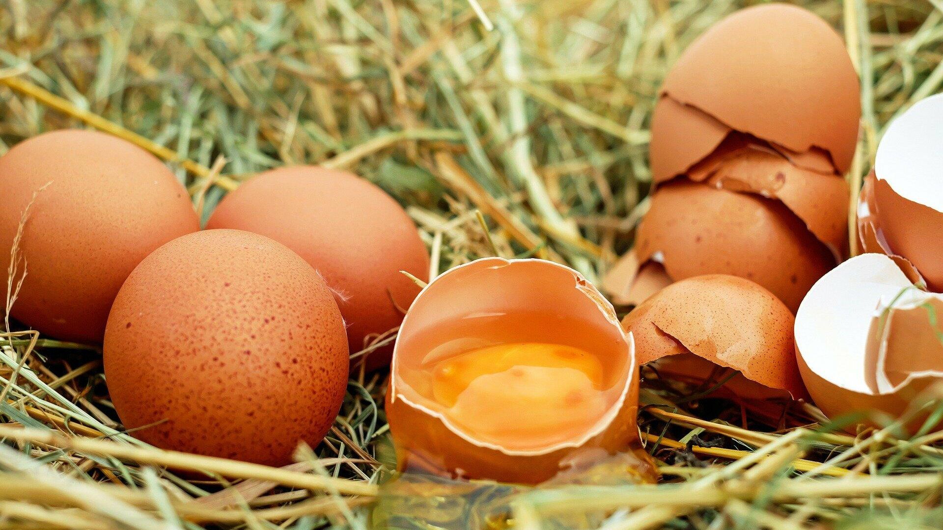 Яйца - РИА Новости, 1920, 21.04.2022