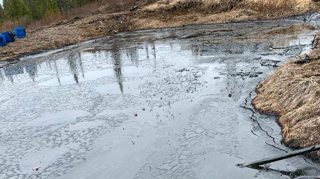 Место разлива нефтесодержащей жидкости в Коми Место разлива нефтесодержащей жидкости в Коми
