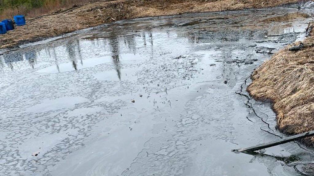 Место разлива нефтесодержащей жидкости в Коми Место разлива нефтесодержащей жидкости в Коми - РИА Новости, 1920, 16.07.2026