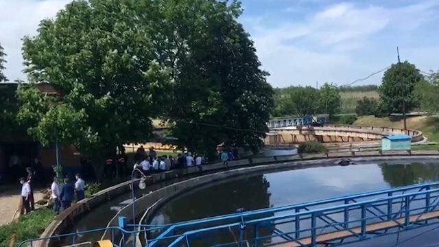 Работа следователей на месте гибели 10 рабочих в Ростовской области. Кадры СК Работа следователей на месте гибели 10 рабочих в Ростовской области. Кадры СК - РИА Новости, 1920, 21.05.2021