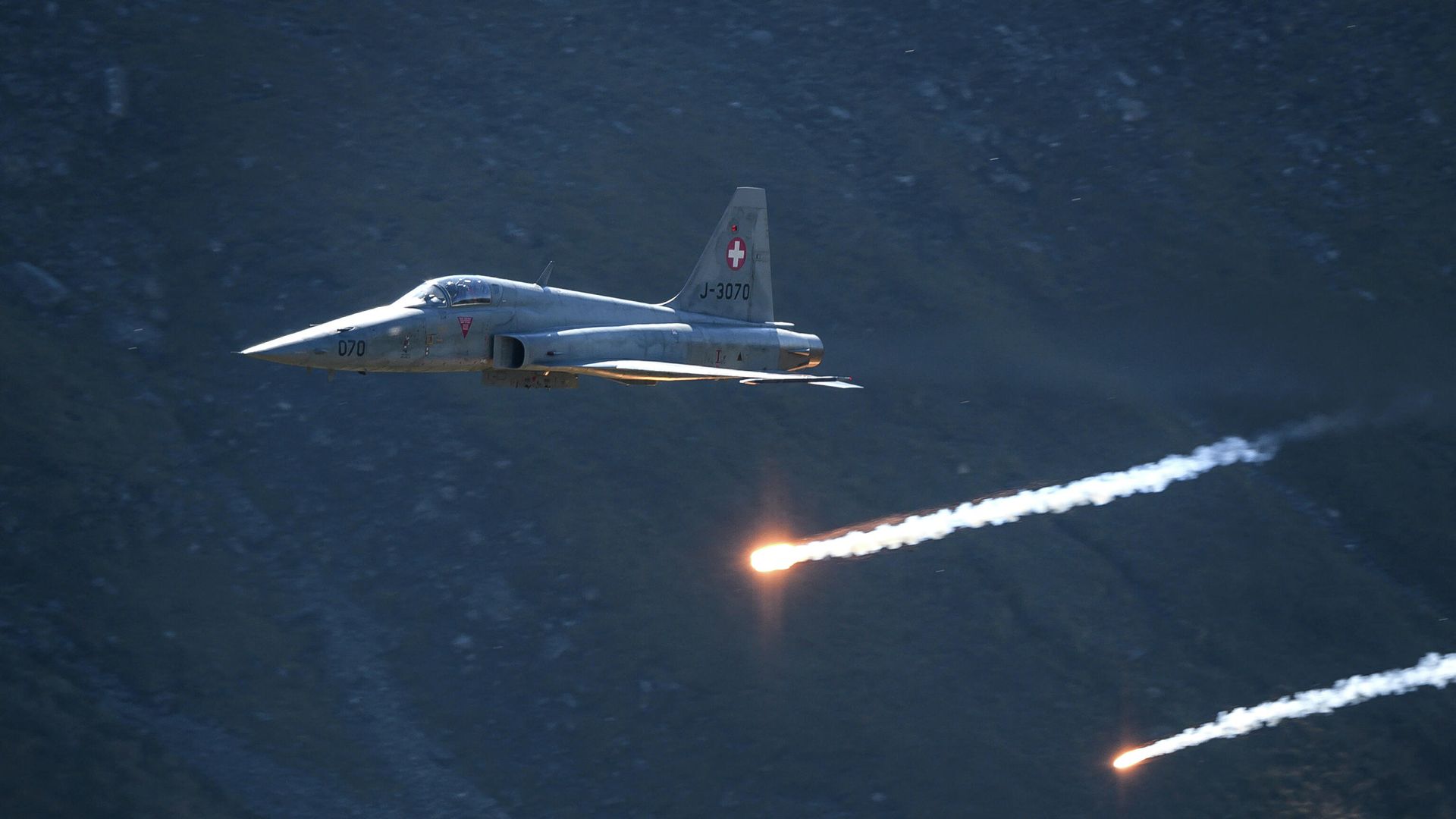 Истребитель F-5 Tiger ВВС Швейцарии Истребитель F-5 Tiger ВВС Швейцарии - РИА Новости, 1920, 26.05.2021