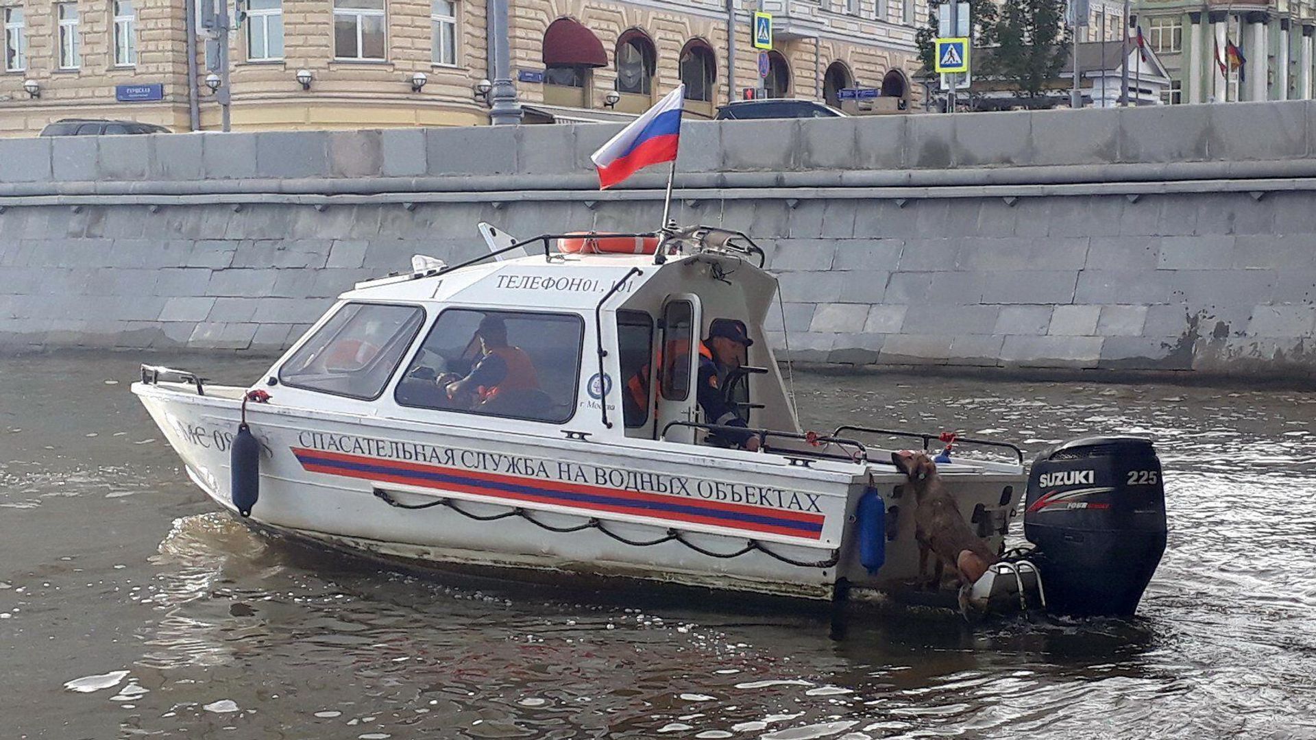 Возле Крымской набережной в Москве спасатели вытащили из воды тонущую собаку Возле Крымской набережной в Москве спасатели вытащили из воды тонущую собаку - РИА Новости, 1920, 29.05.2021