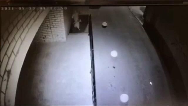 Нападение на девушку в Смоленске. Запись камеры наблюдения Нападение на девушку в Смоленске. Запись камеры наблюдения - РИА Новости, 1920, 02.06.2021