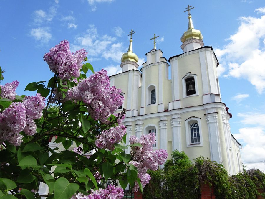 Троицкая церковь (1649 г.) Троицкая церковь (1649 г.)