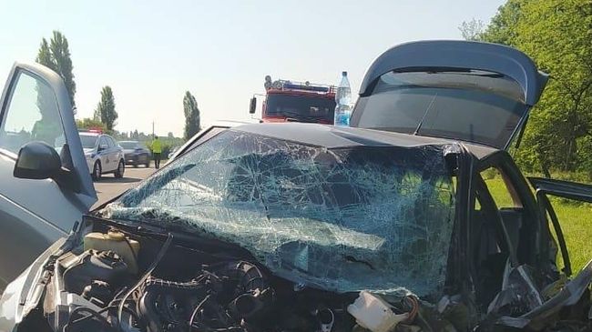 ДТП в районе станицы Новомышастовской, Краснодарский край