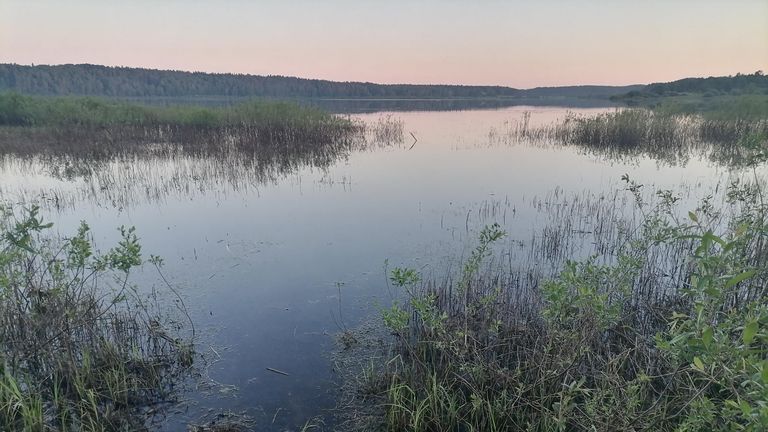 Вид в усадьбе Петровское