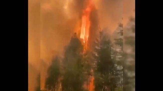 Верховой лесной пожар в Горном районе Якутии Верховой лесной пожар в Горном районе Якутии