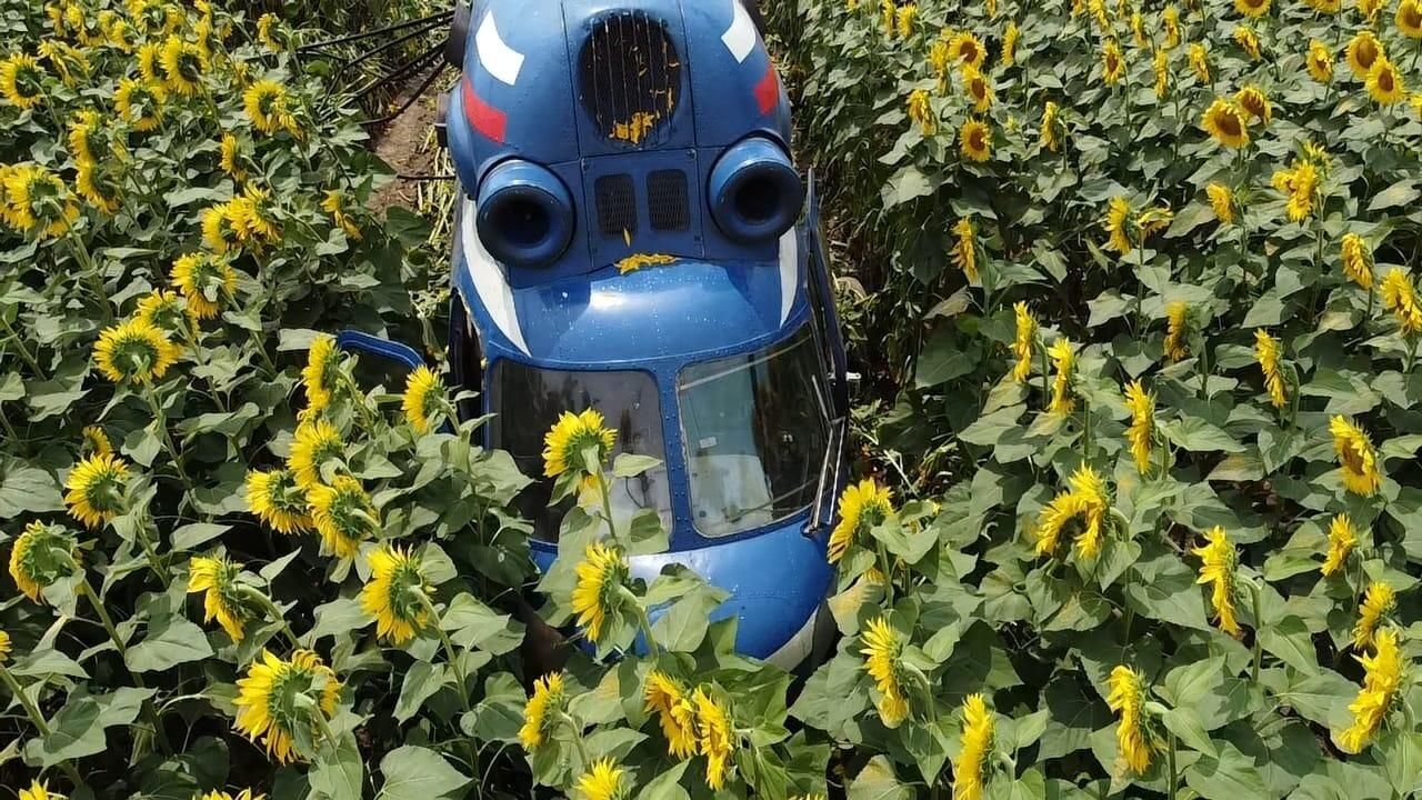 Жесткая посадка вертолета Ми-2 в Прохладненском районе Кабардино-Балкарской Республики - РИА Новости, 1920, 04.07.2021