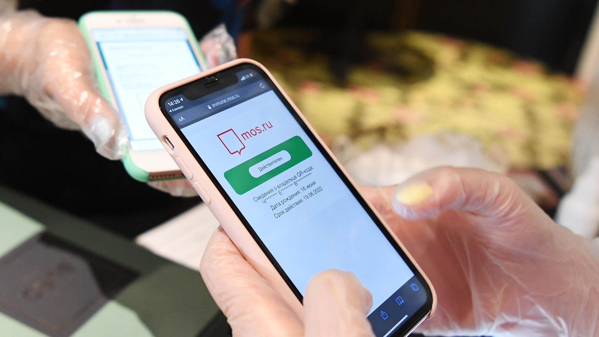 Хостес проверяет наличие и подлинность QR-кода у посетительницы Хостес проверяет наличие и подлинность QR-кода у посетительницы - РИА Новости, 1920, 21.10.2021