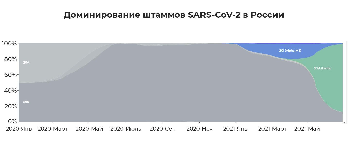 Доминирование штаммов SARS-CoV-2 в России с мая 2020 по июнь 2021 Доминирование штаммов SARS-CoV-2 в России с мая 2020 по июнь 2021 - РИА Новости, 1920, 26.07.2021