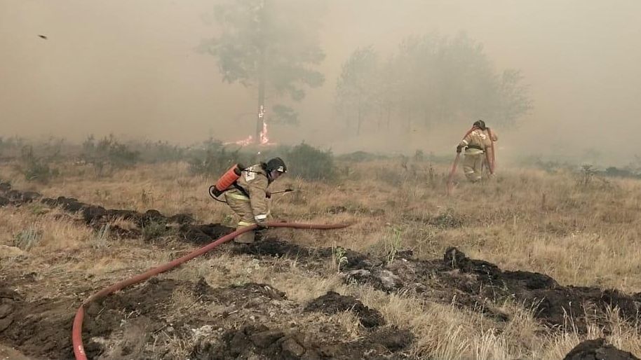 Сотрудники МЧС во время тушения лесного пожара в Челябинской области Сотрудники МЧС во время тушения лесного пожара в Челябинской области - РИА Новости, 1920, 20.07.2021