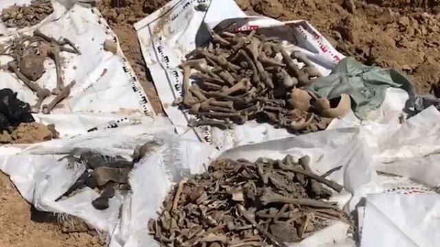 Следователи на месте захоронения жертв нацистов в ростовском Сальске Следователи на месте захоронения жертв нацистов в ростовском Сальске - РИА Новости, 1920, 12.07.2021