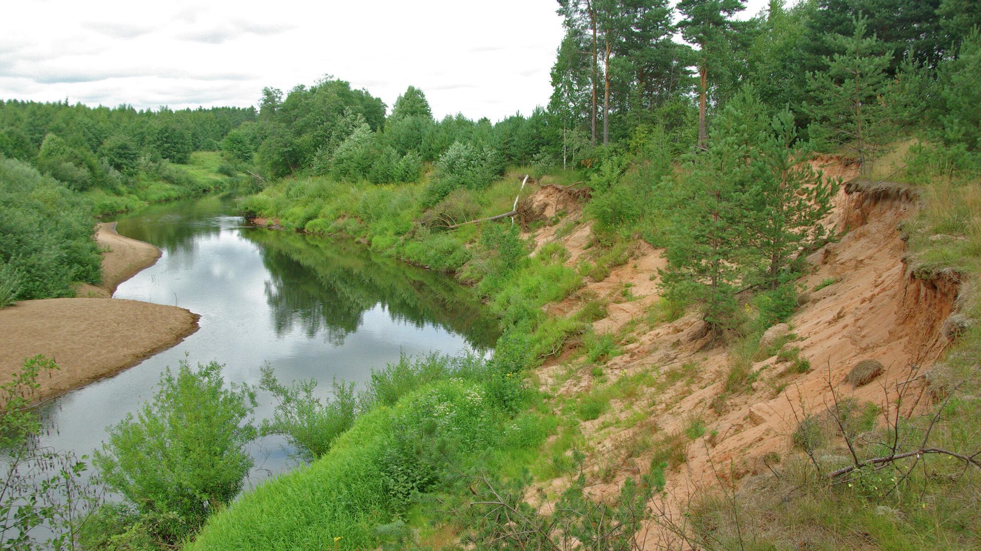Река Холова, Новгородская область Река Холова, Новгородская область - РИА Новости, 1920, 12.07.2021