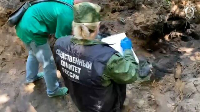 Работа следователей на месте массового захоронения жертв нацистов в Псковской области Работа следователей на месте массового захоронения жертв нацистов в Псковской области - РИА Новости, 1920, 14.07.2021