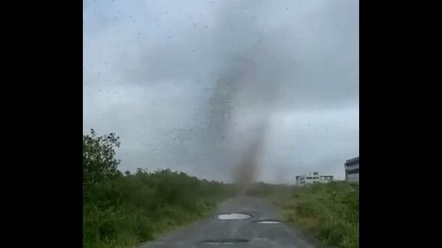 Смерч из комаров накрыл поселок на Камчатке Смерч из комаров накрыл поселок на Камчатке - РИА Новости, 1920, 18.07.2021