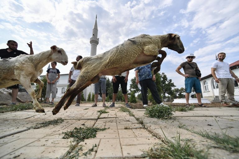 Мусульмане во время праздника Курбан-Байрам ловят барана в Крыму