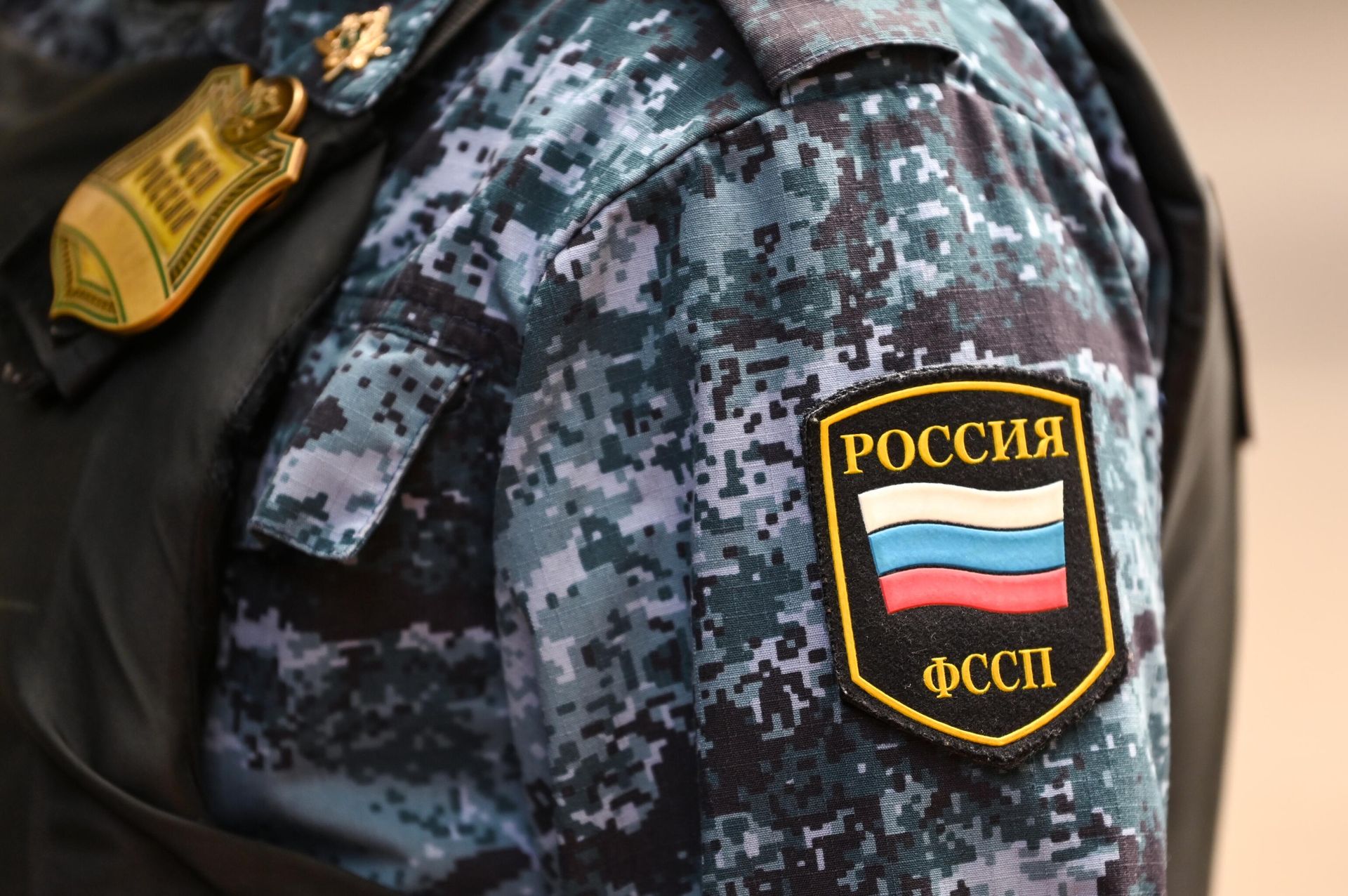 Нашивка на рукаве сотрудника Федеральной службы судебных приставов Нашивка на рукаве сотрудника Федеральной службы судебных приставов - РИА Новости, 1920, 12.01.2026