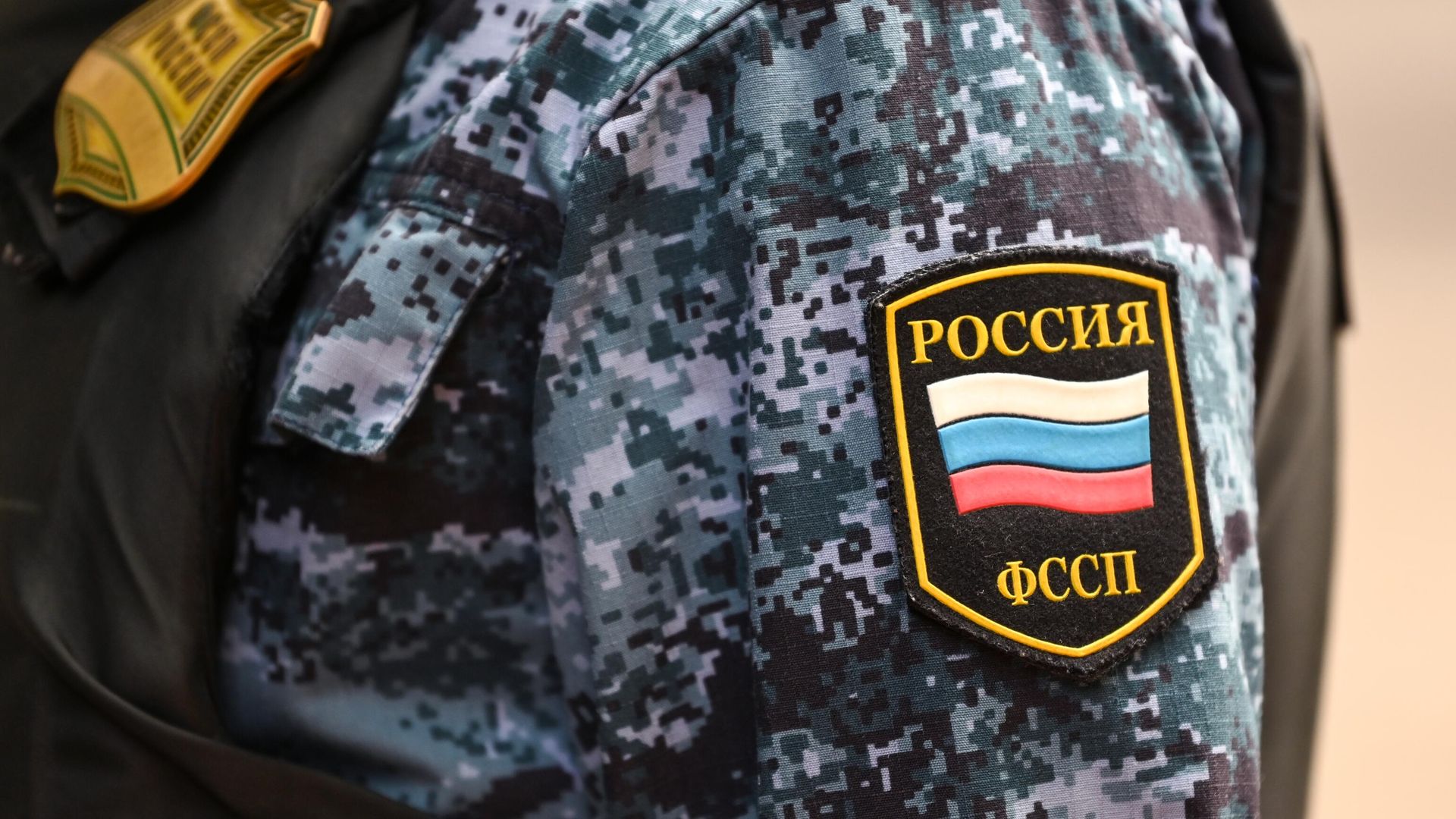 Нашивка на рукаве сотрудника Федеральной службы судебных приставов Нашивка на рукаве сотрудника Федеральной службы судебных приставов - РИА Новости, 1920, 26.10.2024
