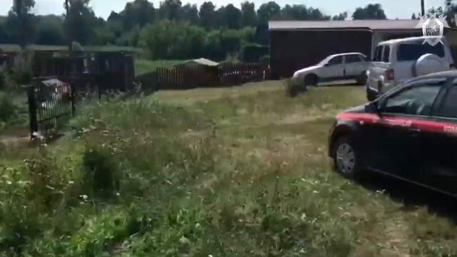 Кадры с места обнаружения похищенной девочки в Алтайском крае Кадры с места обнаружения похищенной девочки в Алтайском крае - РИА Новости, 1920, 03.08.2021