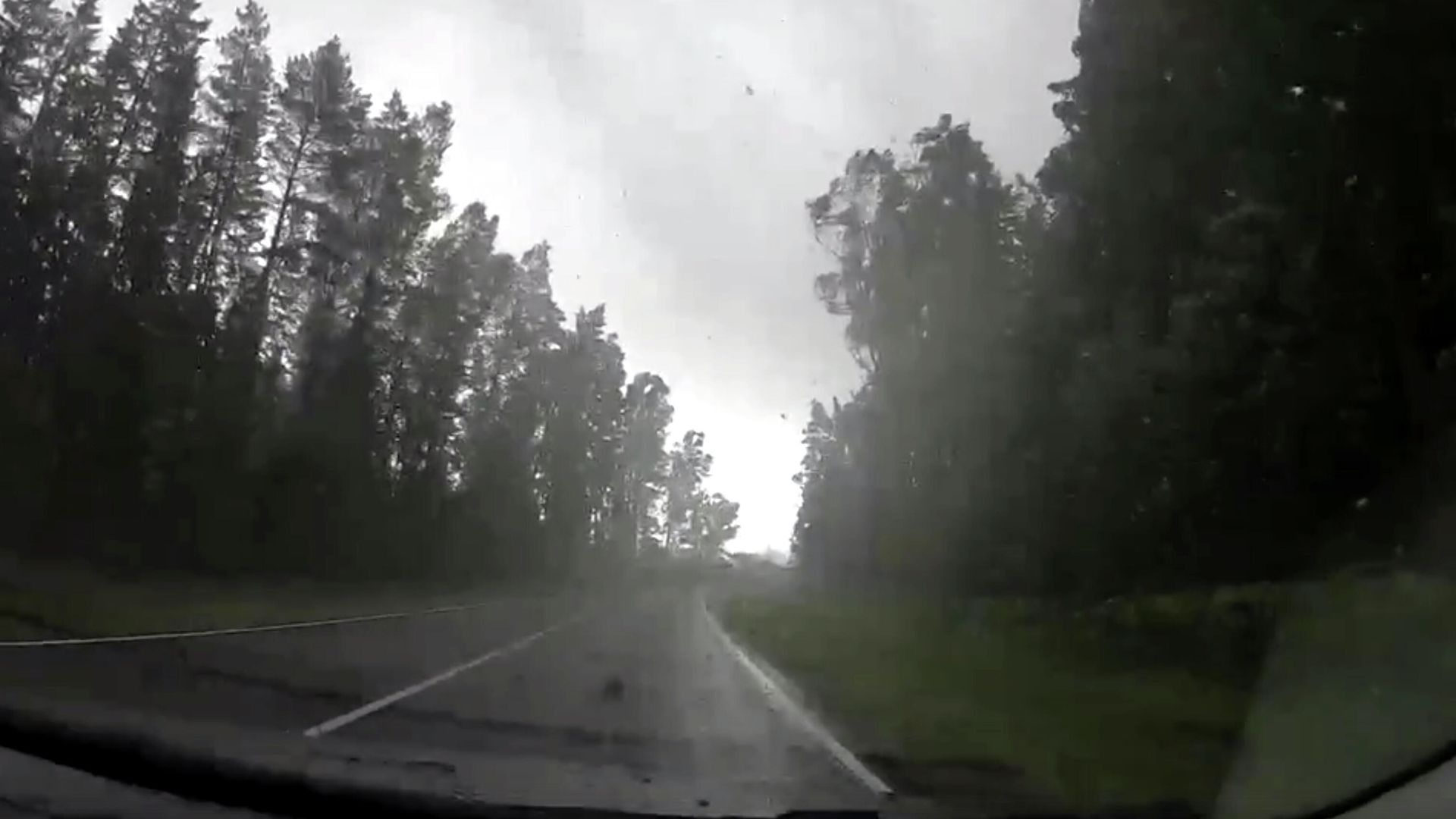 Ураган в Полоцком районе, Белоруссия. Кадр видео Ураган в Полоцком районе, Белоруссия. Кадр видео - РИА Новости, 1920, 04.08.2021