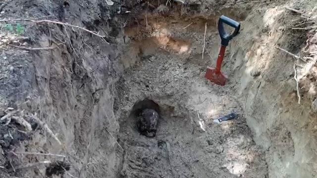 Раскопки на месте захоронения узников финских концлагерей в Карелии Раскопки на месте захоронения узников финских концлагерей в Карелии - РИА Новости, 1920, 04.08.2021