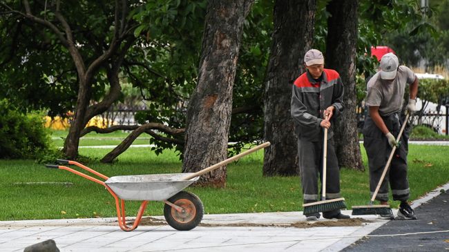Работы по благоустройству в парке