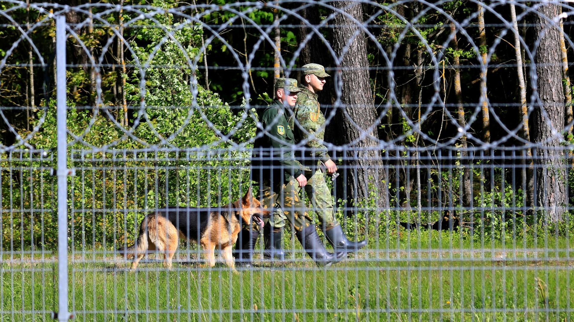 Колючая проволока на границе Литвы и Белоруссии Колючая проволока на границе Литвы и Белоруссии - РИА Новости, 1920, 10.08.2021