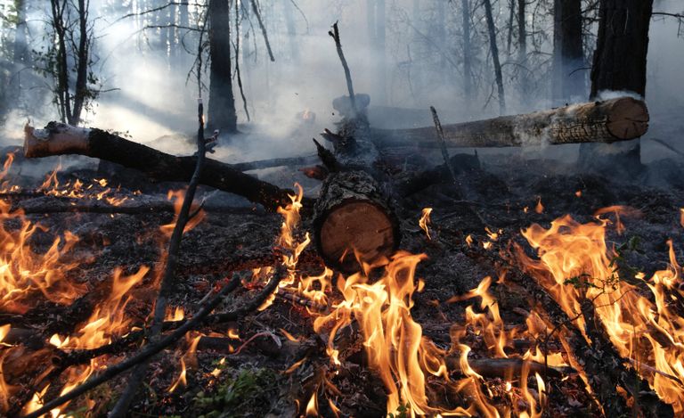 Лесной пожар в районе Хангаласский улус в Якутии Лесной пожар в районе Хангаласский улус в Якутии