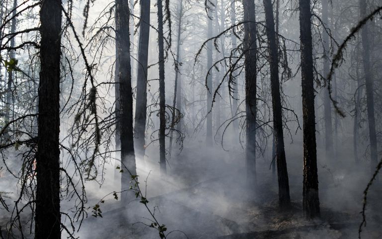 Лесной пожар в районе Хангаласский улус в Якутии Лесной пожар в районе Хангаласский улус в Якутии