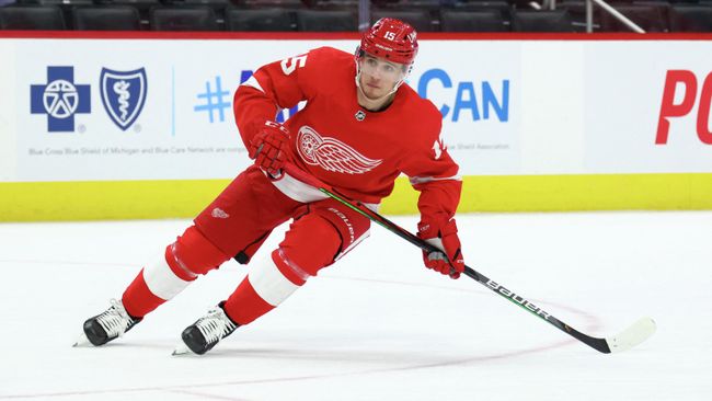 DETROIT, MICHIGAN - MAY 01: Jakub Vrana #15 of the Detroit Red Wings skates against the Tampa Bay Lightning at Little Caesars Arena on May 01, 2021 in Detroit, Michigan. Gregory Shamus/Getty Images/AFP (Photo by Gregory Shamus / GETTY IMAGES NORTH AMERICA / Getty Images via AFP) DETROIT, MICHIGAN - MAY 01: Jakub Vrana #15 of the Detroit Red Wings skates against the Tampa Bay Lightning at Little Caesars Arena on May 01, 2021 in Detroit, Michigan. Gregory Shamus/Getty Images/AFP (Photo by Gregory Shamus / GETTY IMAGES NORTH AMERICA / Getty Images via AFP)