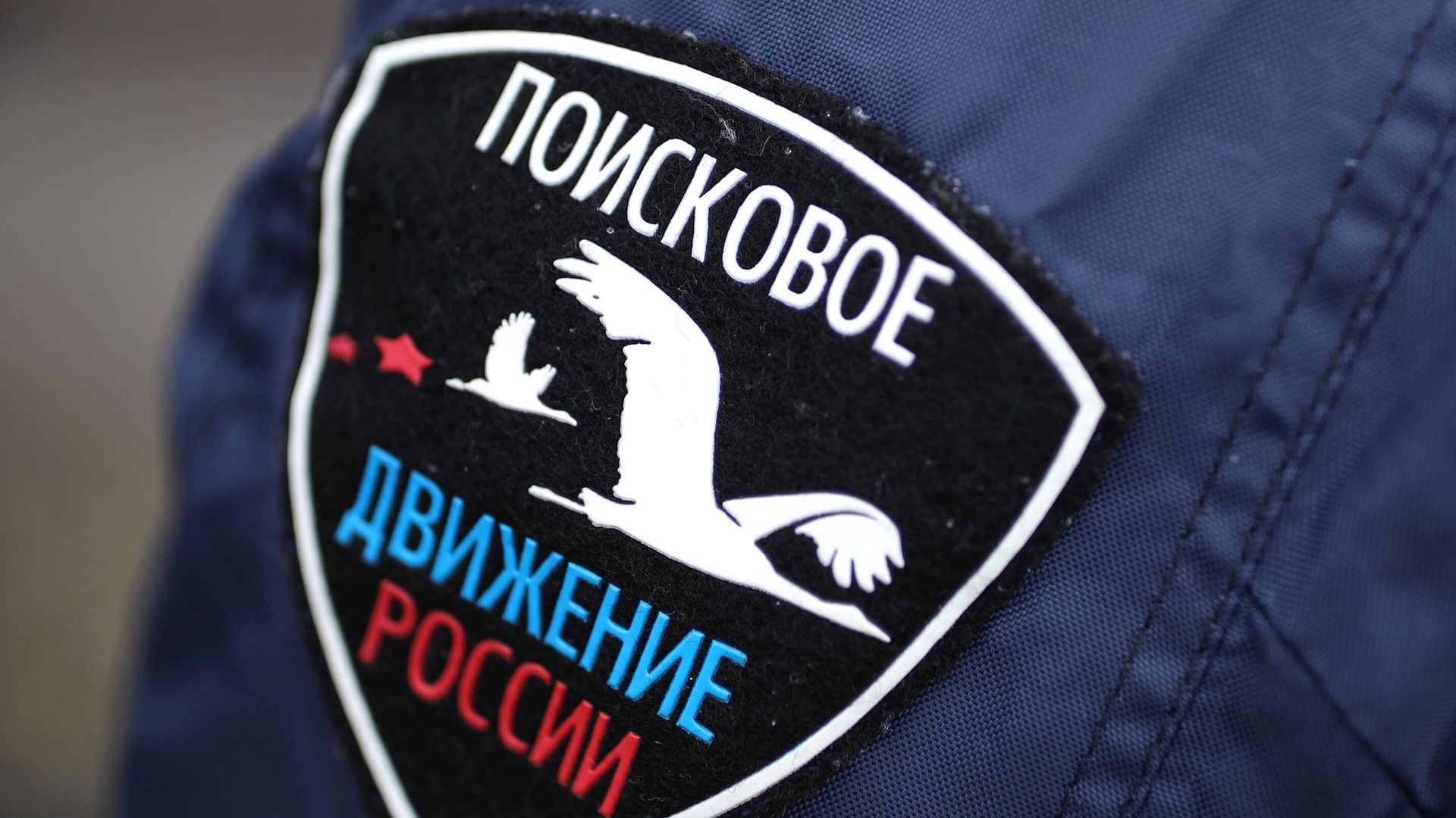 Эмблема поискового движения России Эмблема поискового движения России - РИА Новости, 1920, 17.04.2026