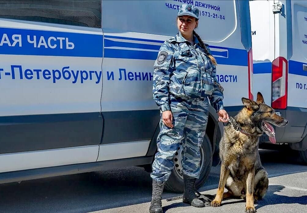Служебная собака из России впервые удостоена в Италии премии Собачья верность Служебная собака из России впервые удостоена в Италии премии Собачья верность - РИА Новости, 1920, 16.08.2021
