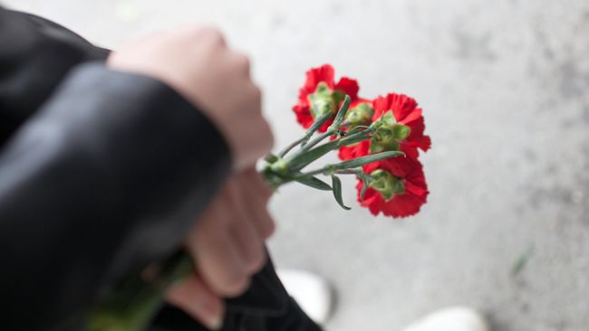 Гвоздики в руках Гвоздики в руках