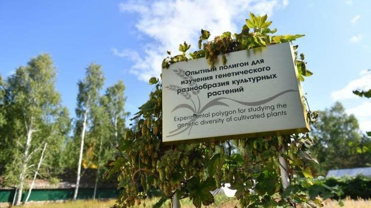 Первый в России карбоновый полигон в Тюменской области Первый в России карбоновый полигон в Тюменской области - РИА Новости, 1920, 30.08.2021