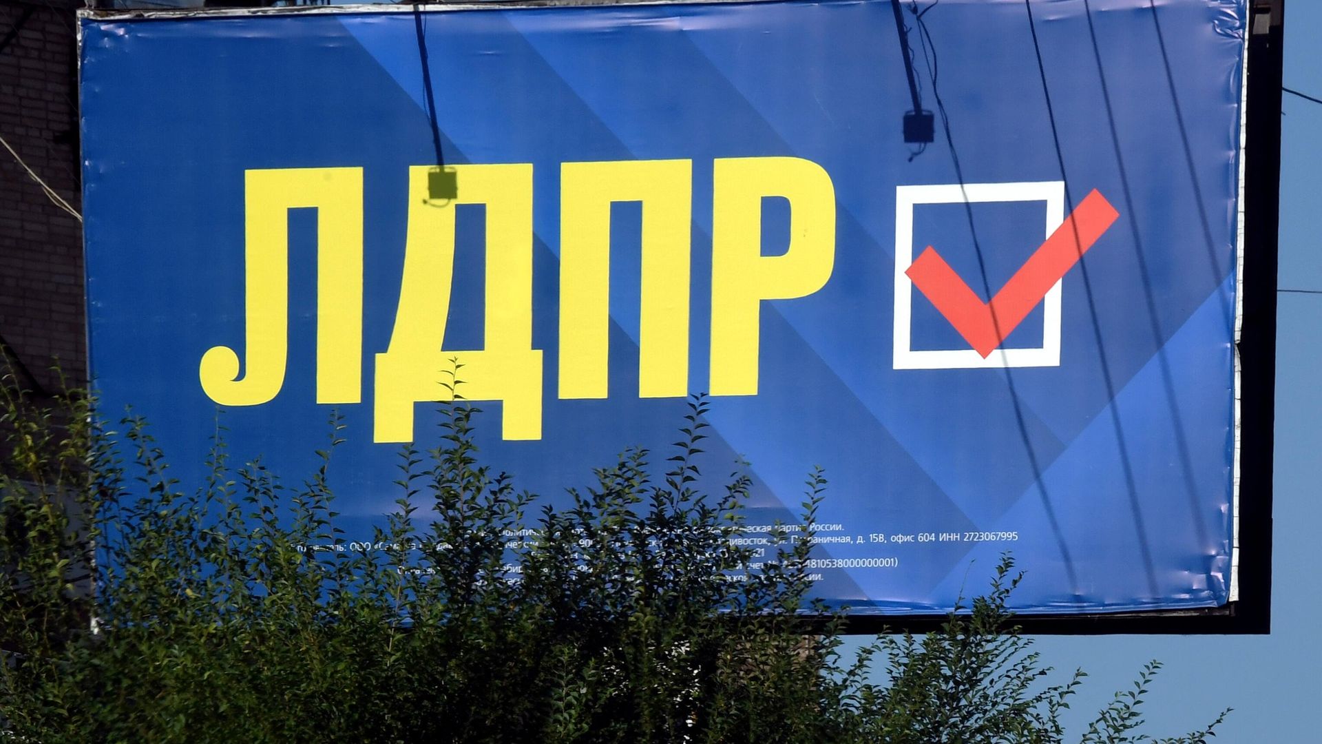 Агитационный плакат партии ЛДПР Агитационный плакат партии ЛДПР - РИА Новости, 1920, 10.07.2022