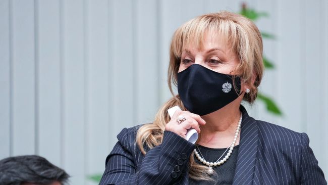 Председатель Центральной избирательной комиссии РФ Элла Памфилова во время открытого тестового голосования в ЦИК России