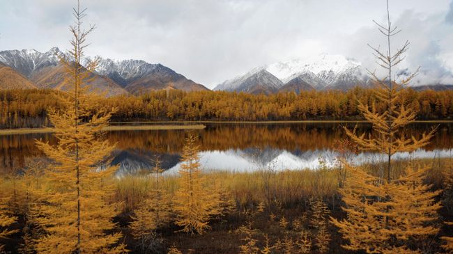 Забайкалье